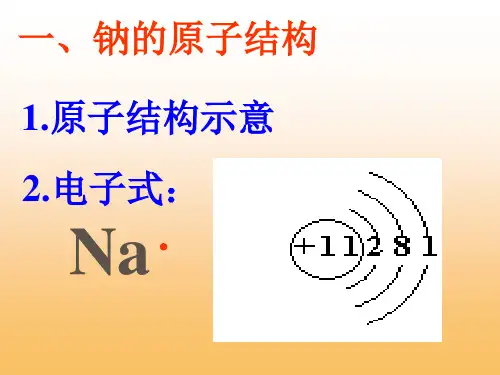 钠的性质ppt