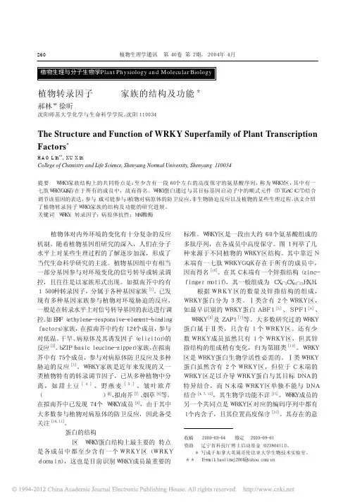 植物转录因子WRKY家族的结构及功能_郝林
