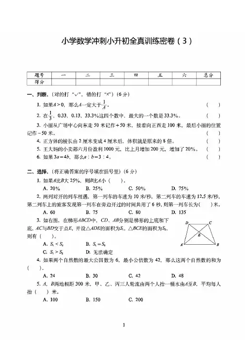 杭州市2019-2020小学数学冲刺小升初全真训练密卷(3)附答案