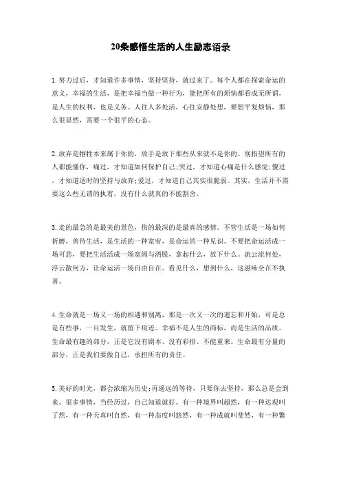 20条感悟生活的人生励志语录