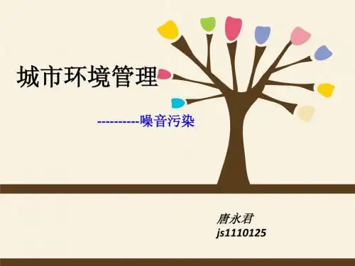 城市环境管理-噪音污染1