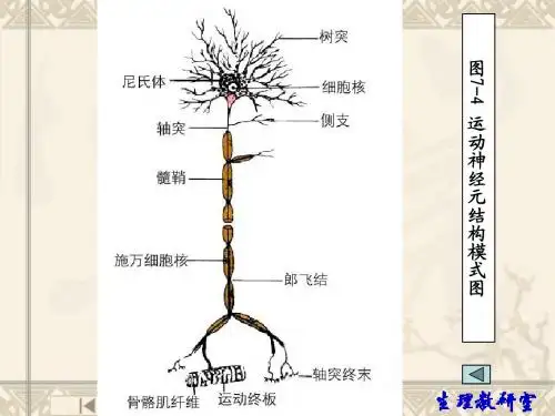 8.调节功能