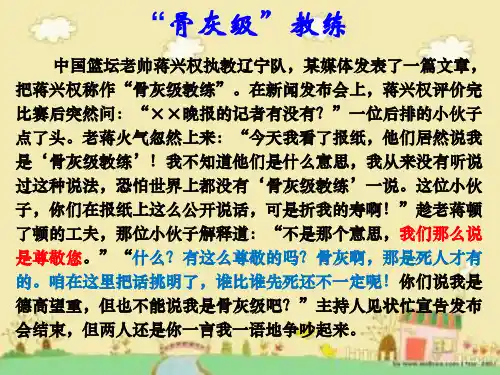 人教版高中语文必修一梳理探究《新词新语与流行文化》课件33张