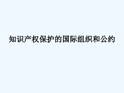 知识产权保护国际组织和公约