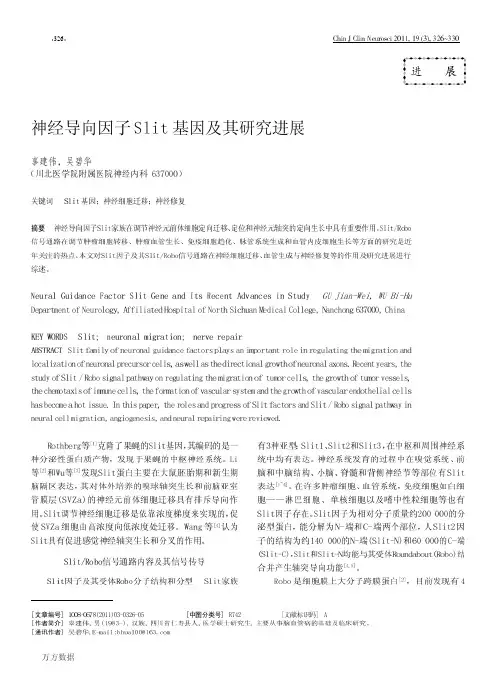 神经导向因子Slit基因及其研究进展