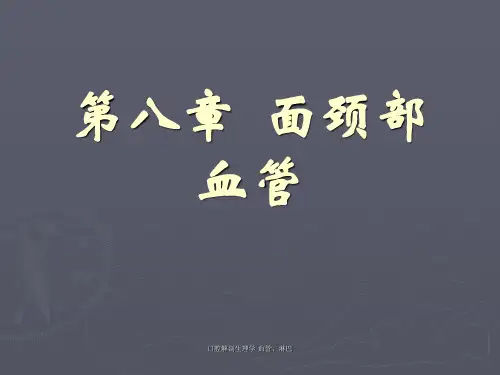 口腔解剖生理学 血管、淋巴【实用参考】
