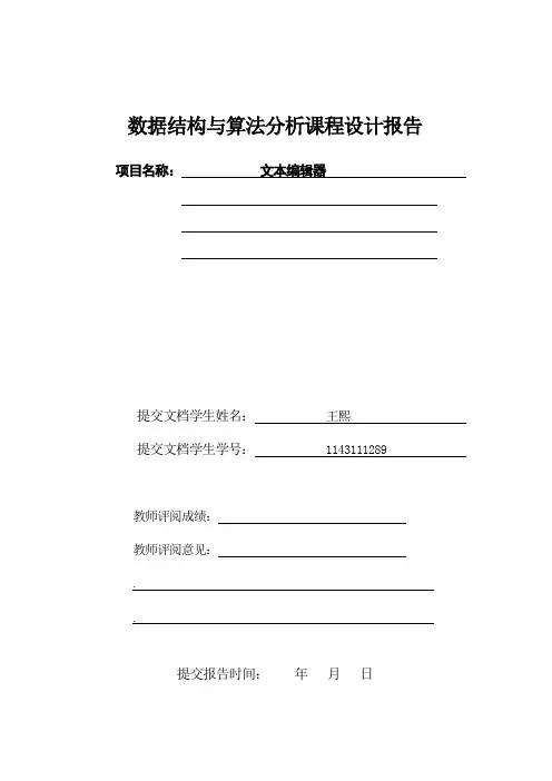 文本编辑器报告