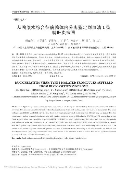 从鸭腹水综合征病鸭体内分离鉴定到血清1型鸭肝炎病毒