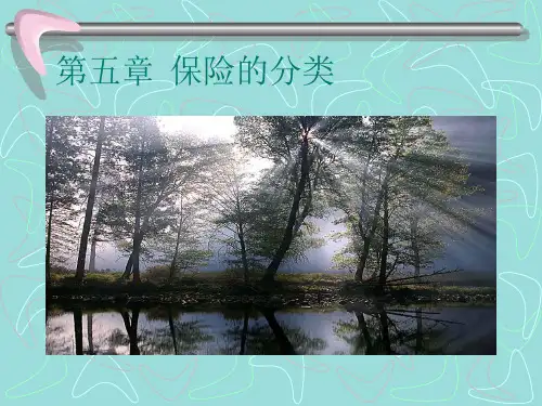 保险的分类