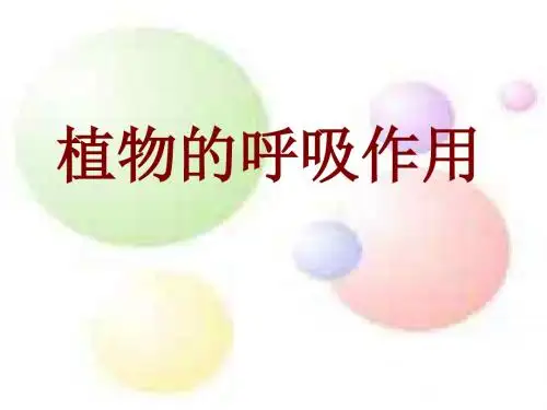 呼吸作用--浙教版