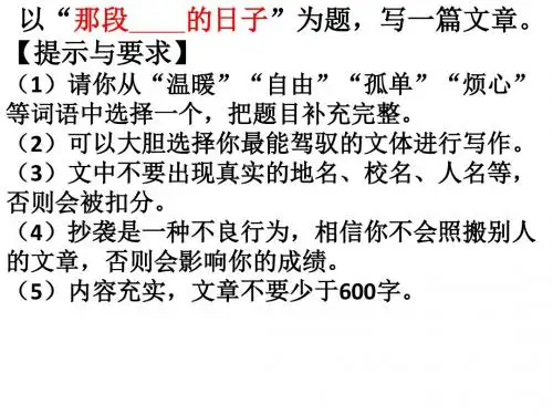 那段的日子作文指导