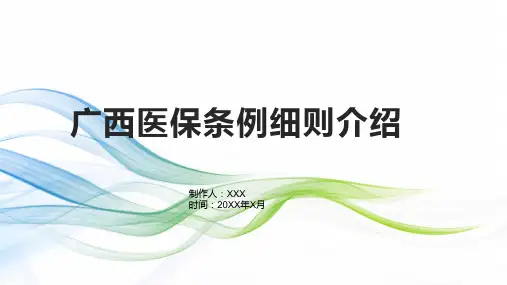 广西医保条例细则