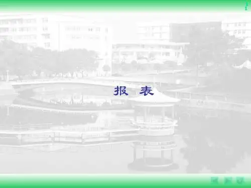 6报表