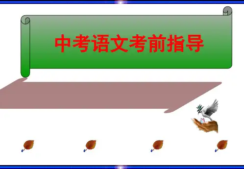 中考语文考前指导1PPT课件
