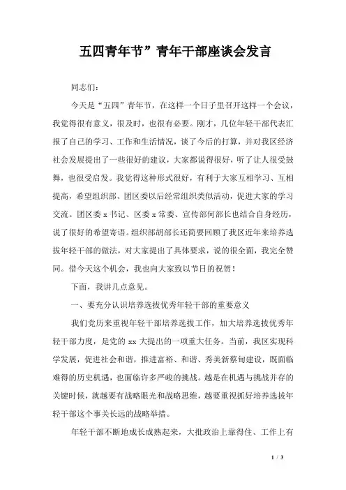 五四青年节”青年干部座谈会发言