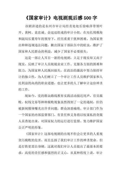 《国家审计》电视剧观后感500字