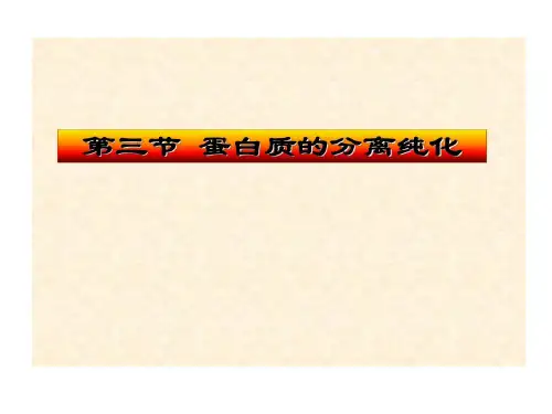 蛋白质分离纯化51页PPT