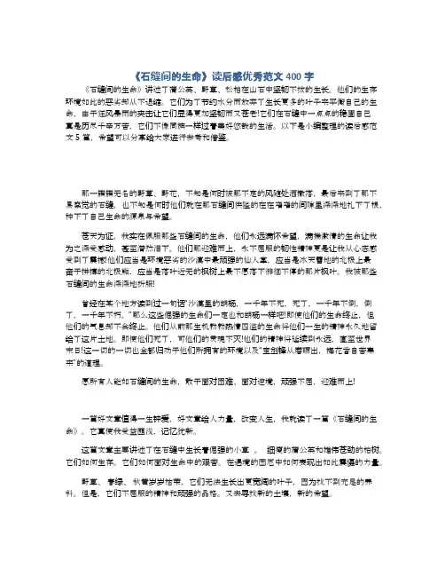 《石缝间的生命》读后感优秀范文400字