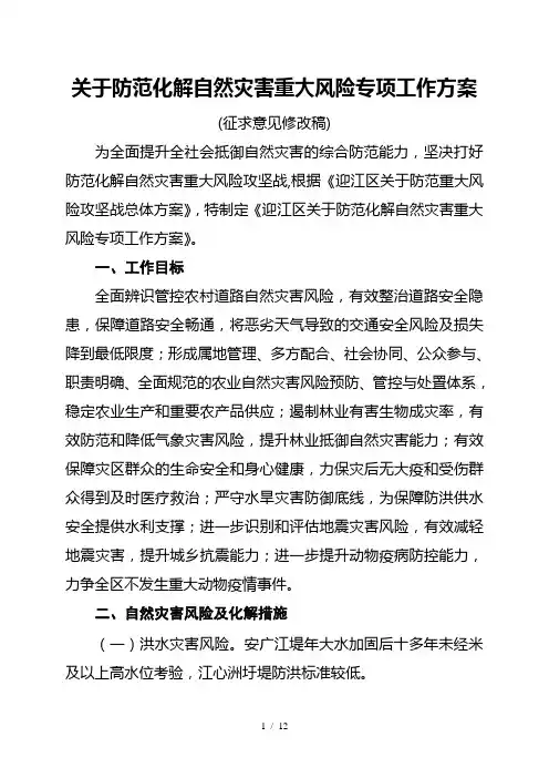 关于防范化解自然灾害重大风险专项工作方案