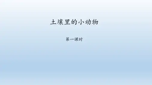 苏科版生物七年级下册：13.1 土壤里的小动物  课件(共42张PPT)