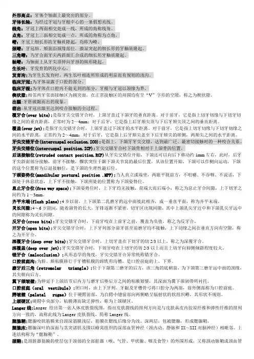 口腔解剖 2