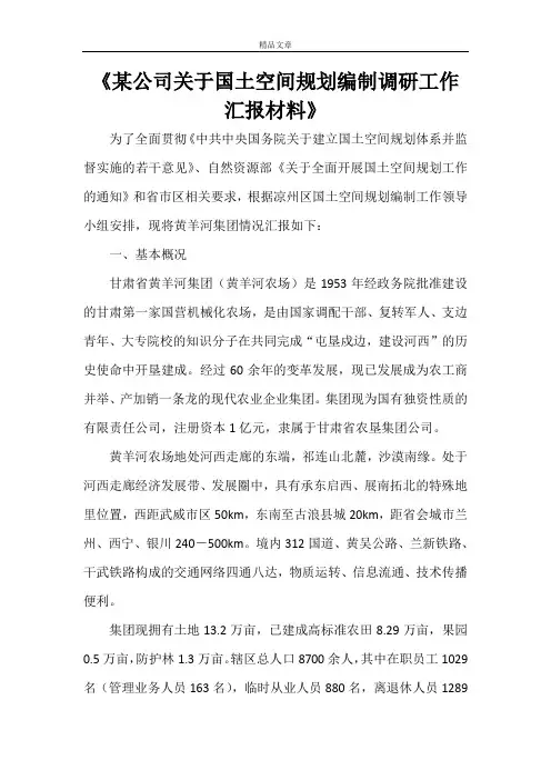 《某公司关于国土空间规划编制调研工作汇报材料》