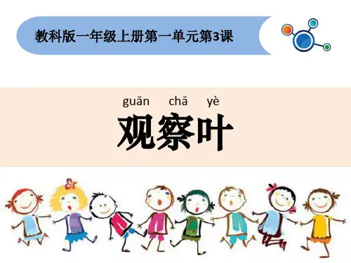 一上一3观察叶1