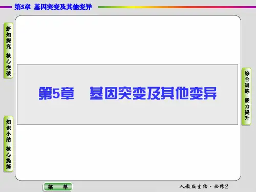 高中生物 基因突变及其他变异