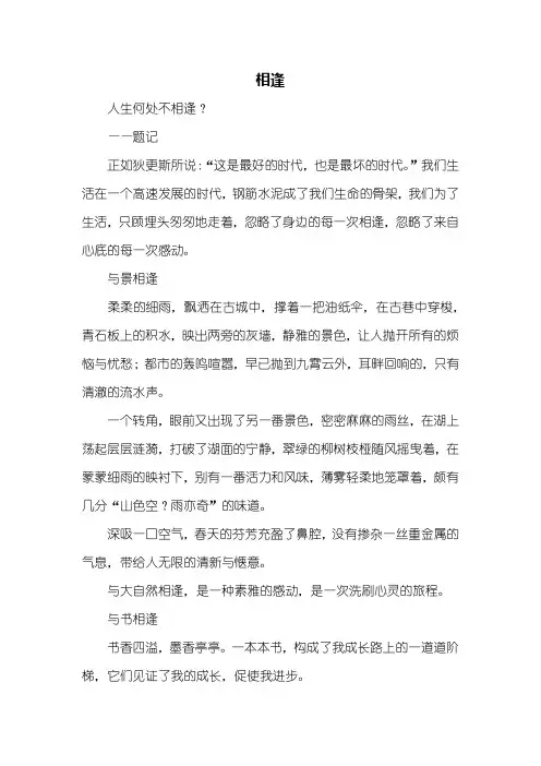 初三作文：相逢作文700字