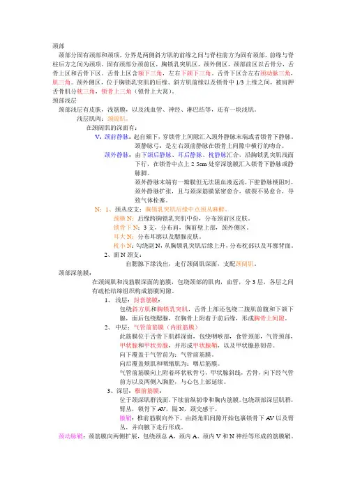 局部解剖颈部要点总结