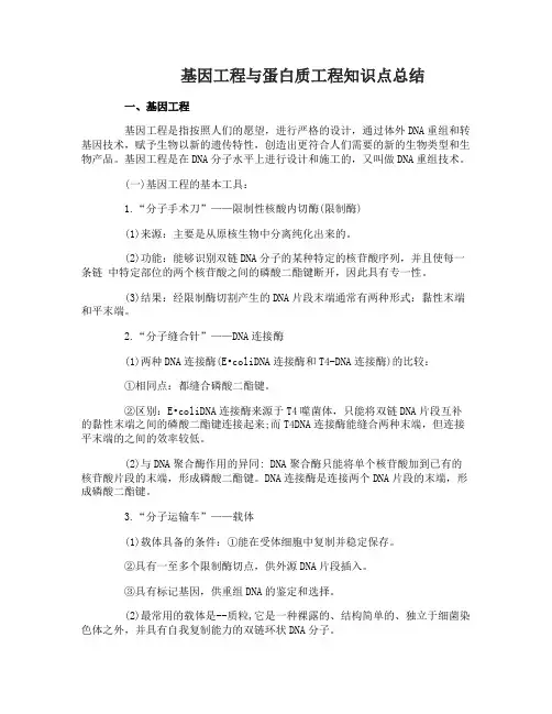 高中生物基因工程与蛋白质工程知识点总结