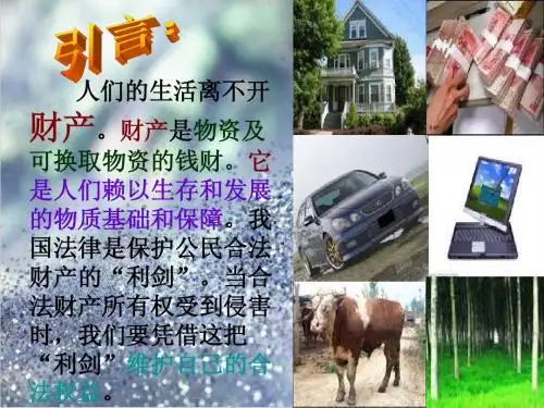 八年级下册思想品德人教版课件   七课一框财产属于谁