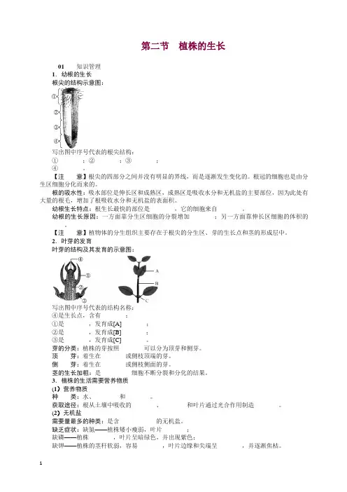 人教版七年级生物上册02第二节 植株的生长 试题及答案.doc