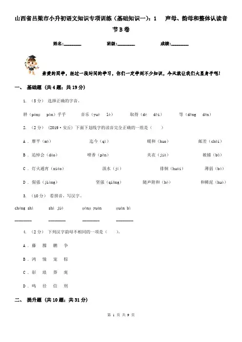 山西省吕梁市小升初语文知识专项训练(基础知识一)：1   声母、韵母和整体认读音节B卷