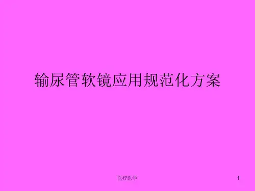 输尿管软镜应用(行业运用)
