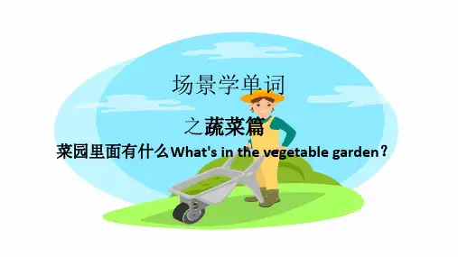 场景学单词之蔬菜篇