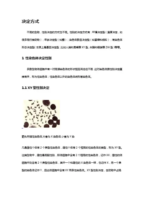 生物性别决定方式
