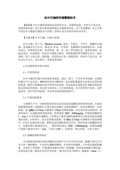红叶石楠的扦插繁殖技术