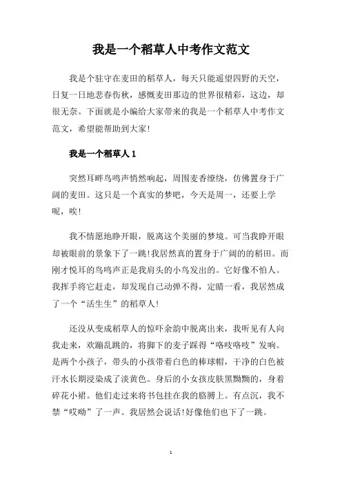 我是一个稻草人中考作文范文.doc
