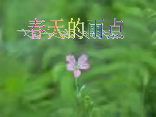 三年级语文下册 第2单元 春天的脚步《春天的雨点》课件 北师大版