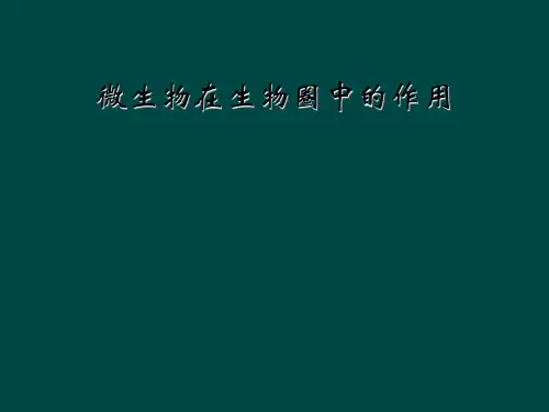 微生物在生物圈中的作用