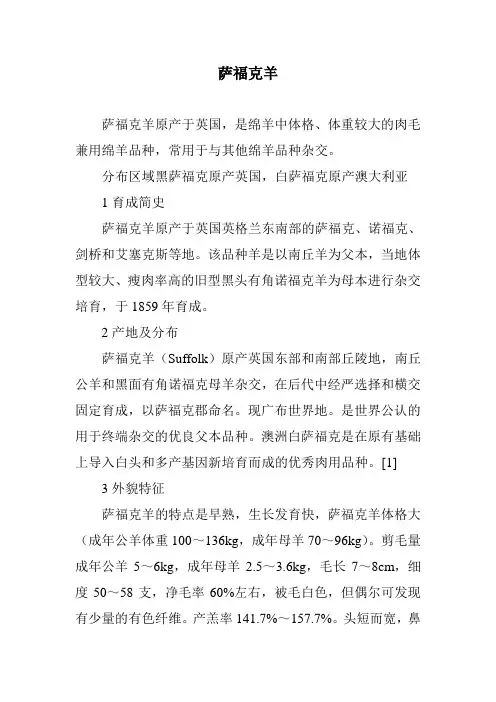 萨福克羊