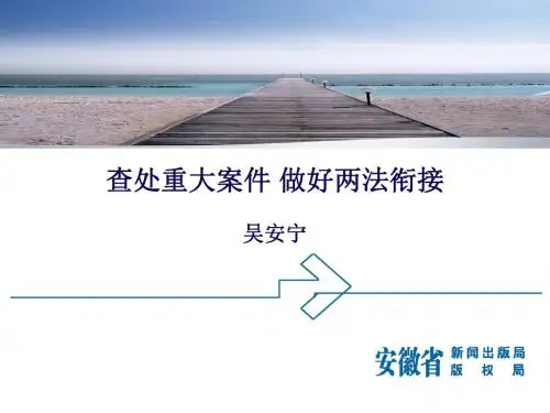查处重大案件做好两法衔接吴安宁