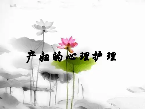 产妇心理护理