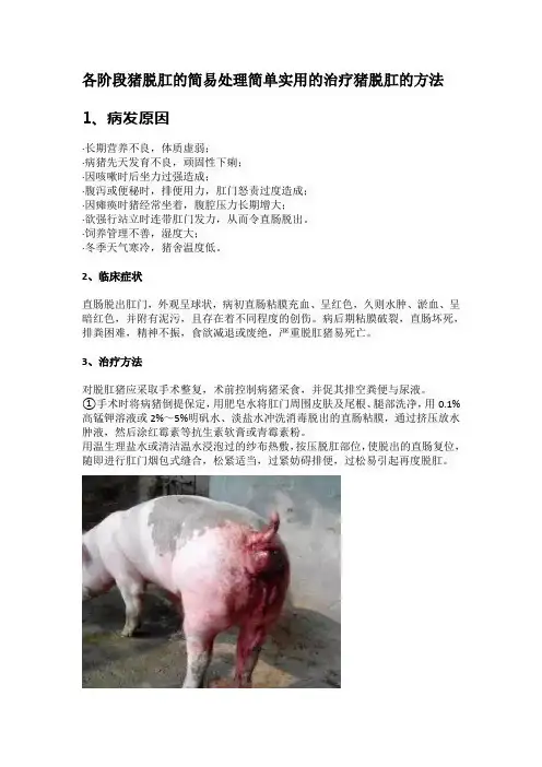 各阶段猪脱肛的简易处理简单实用的治疗猪脱肛的方法