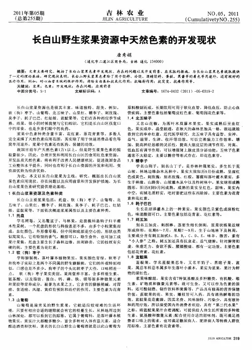 长白山野生浆果资源中天然色素的开发现状
