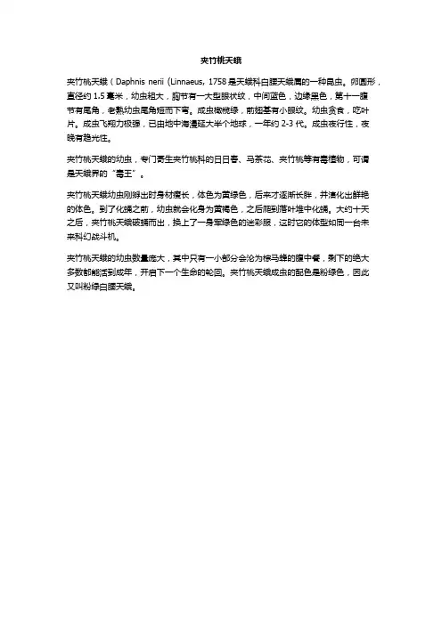 夹竹桃天蛾