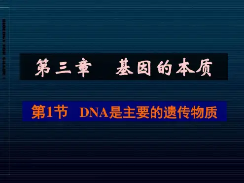 《DNA是主要的遗传物质》