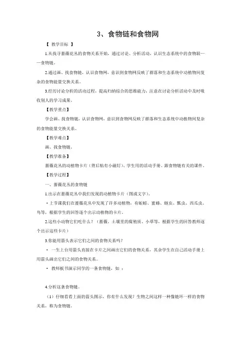 食物链与食物网