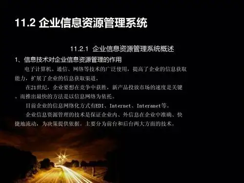 企业信息资源管理